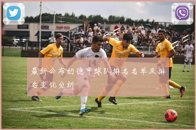 最新公布的德甲球队排名名单及排名变化分析